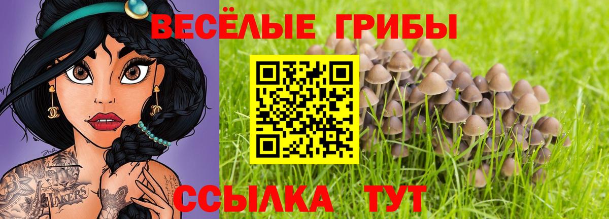 где найти наркотики  Вход с VPN  Аша  Псилоцибиновые грибы Cubensis 